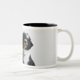 Caneca De Café Em Dois Tons cão em uma trela