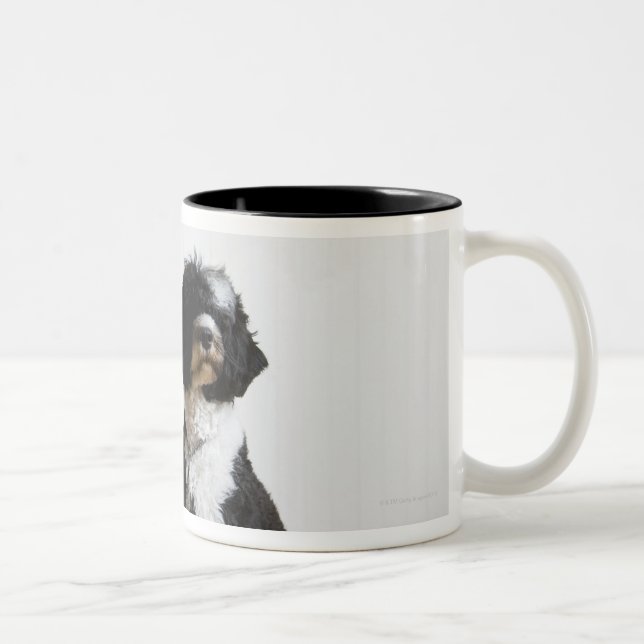 Caneca De Café Em Dois Tons cão em uma trela (Direita)