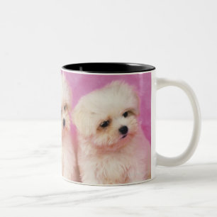 Caneca De Café Em Dois Tons Cão maltês; é uma raça pequena do cão branco 