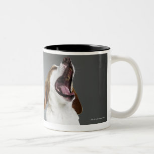 Caneca De Café Em Dois Tons Cão misturado que boceja, fim-acima da raça