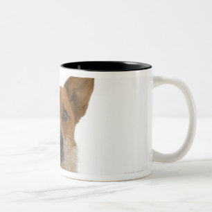 Caneca De Café Em Dois Tons Cão no branco 01