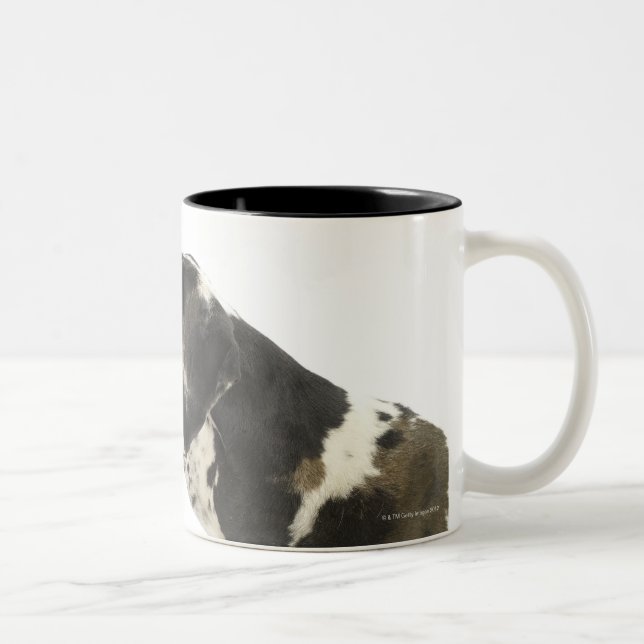 Caneca De Café Em Dois Tons Cão no branco 11 (Direita)