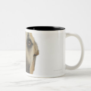 Caneca De Café Em Dois Tons Cão no branco 41