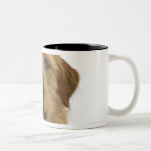 Caneca De Café Em Dois Tons Cão no branco 44