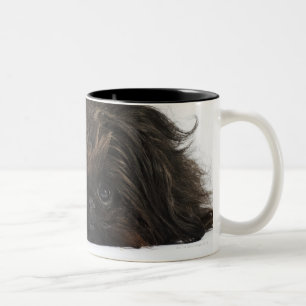 Caneca De Café Em Dois Tons Cão preto de Pekingese que encontra-se para baixo