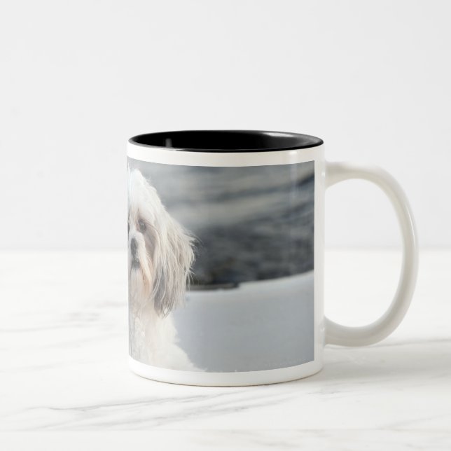 Caneca De Café Em Dois Tons Cão que coloca pela água (Direita)