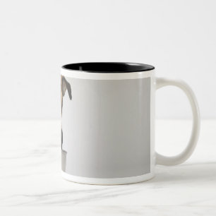 Caneca De Café Em Dois Tons Cão que come da bacia