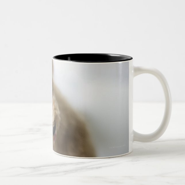 Caneca De Café Em Dois Tons Cão que está no assoalho (Direita)