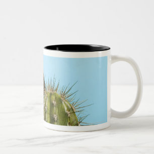 Caneca De Café Em Dois Tons Cão que lambe o cacto, fim-acima