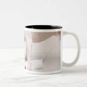 Caneca De Café Em Dois Tons Cão que olha abaixo de um diploma