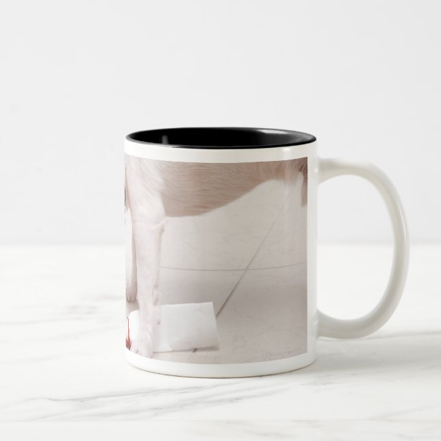 Caneca De Café Em Dois Tons Cão que olha abaixo de um diploma (Direita)
