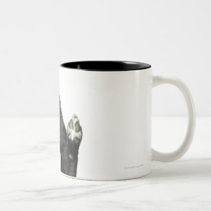 Caneca De Café Em Dois Tons Cão que senta-se com patas acima