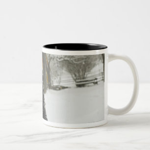 Caneca De Café Em Dois Tons Cão que senta-se na neve com cabana rústica de