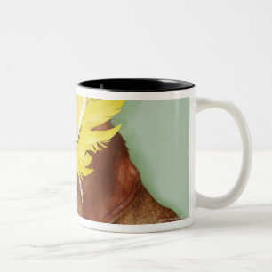 Caneca De Café Em Dois Tons Cão que veste a máscara