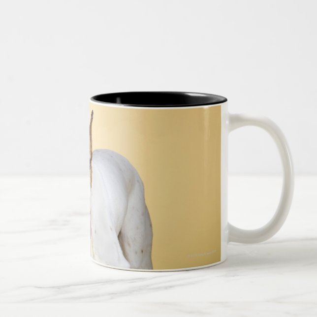 Caneca De Café Em Dois Tons Cão que veste botas (Direita)
