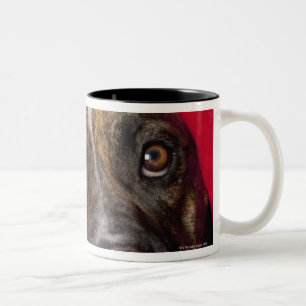 Caneca De Café Em Dois Tons Cão que veste o chapéu do papai noel