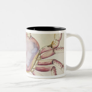 Caneca De Café Em Dois Tons Caranguejo de terra