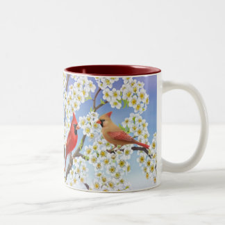 Caneca De Café Em Dois Tons Cardeais em florescer a caneca da árvore de Apple