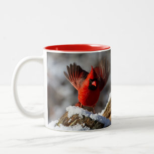 Caneca De Café Em Dois Tons Cardeal Vermelho na Neve
