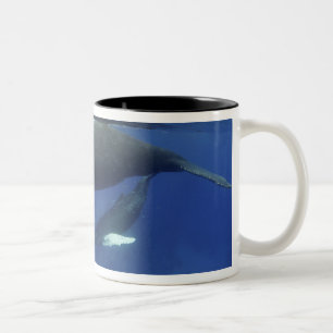 Caneca De Café Em Dois Tons Caribe, arquipélago das Grandes Antilhas,