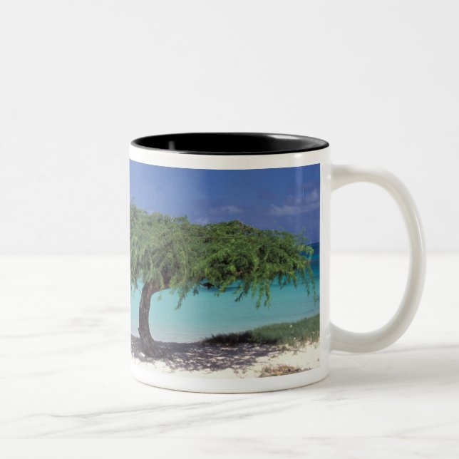 Caneca De Café Em Dois Tons Caribe, Aruba. Praia Eagle (Direita)