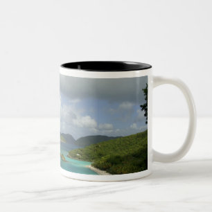 Caneca De Café Em Dois Tons Caribe, Ilhas Virgens dos EUA, St. John, Tronco 3