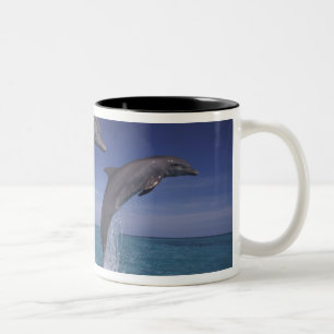 Caneca De Café Em Dois Tons Caribenho, golfinhos-nariz-de-garrafa Tursiops
