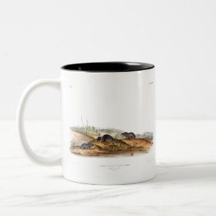 Caneca De Café Em Dois Tons Carolina Shrew House