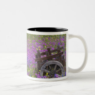 Caneca De Café Em Dois Tons Carrinho de madeira em campo de Phlox, Blue Bonnet
