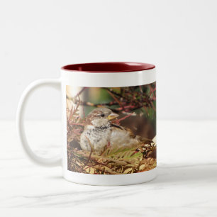 Caneca De Café Em Dois Tons Casa Para A Mug De Feriados