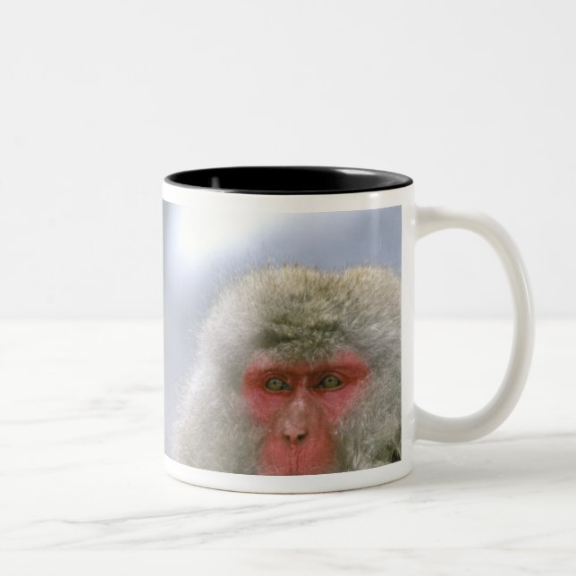 Caneca De Café Em Dois Tons Casal Macaco-Neve, Macaco Japonês, (Direita)