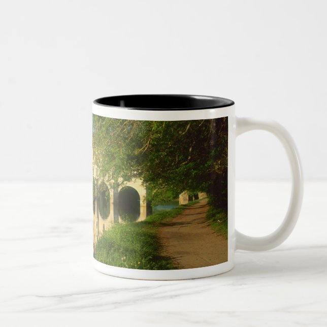 Caneca De Café Em Dois Tons Castelo de Chenonceau, Vale do Loire, (Direita)