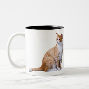 Caneca De Café Em Dois Tons Cat Isolou Vista Interessante Esperar Relógio.