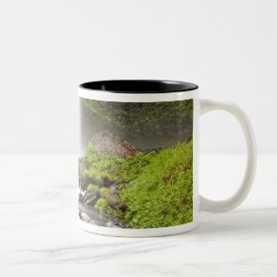 Caneca De Café Em Dois Tons Cataratas Latourell, Desfiladeiro do Rio Columbia,