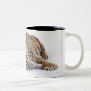 Caneca De Café Em Dois Tons Cativo, África do Sul 3