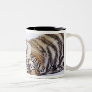 Caneca De Café Em Dois Tons Cativo, África do Sul 4