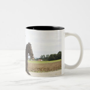 Caneca De Café Em Dois Tons cavaleiro fêmea do adestramento que exercita 2