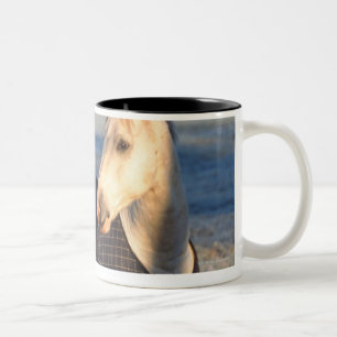 Caneca De Café Em Dois Tons cavalo