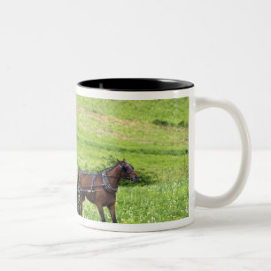 Caneca De Café Em Dois Tons Cavalo Amish e charrete perto de Berlim, Ohio.