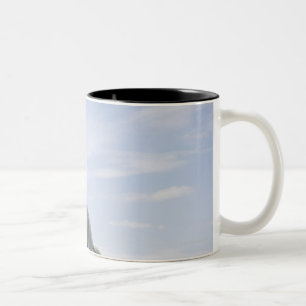 Caneca De Café Em Dois Tons cavalo branco que salta no prado