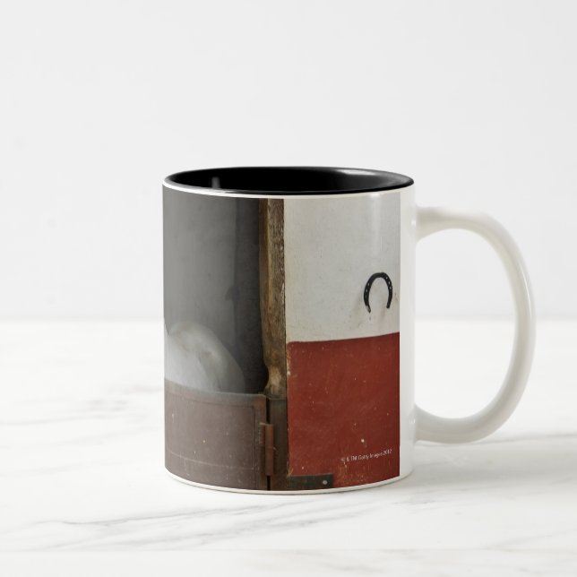 Caneca De Café Em Dois Tons Cavalo cinzento em um estábulo (Direita)
