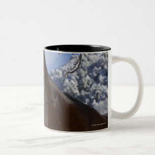 Caneca De Café Em Dois Tons Cavalo de Brown no inverno