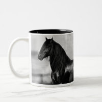 Cavalo de garanhão preto da Frísia orgulhosa