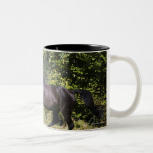 Caneca De Café Em Dois Tons cavalo marrom que funciona no prado