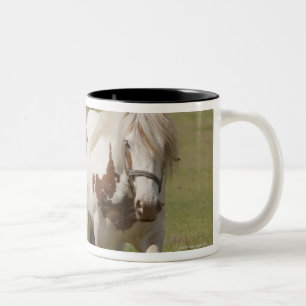 Caneca De Café Em Dois Tons Cavalos de Clydesdale em um campo, Northumberland,