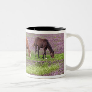 Caneca De Café Em Dois Tons Cavalos do puro-sangue no campo de flores do