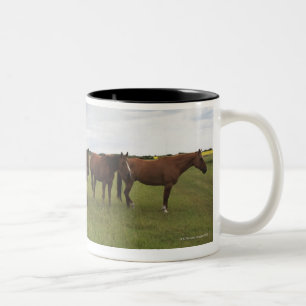 Caneca De Café Em Dois Tons Cavalos em um campo