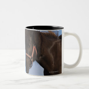 Caneca De Café Em Dois Tons Cavalos islandêses que enfrentam-se