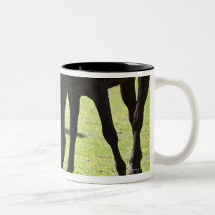 Caneca De Café Em Dois Tons Cavalos que pastam 2