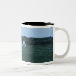 Caneca De Café Em Dois Tons Cavalos que sentam-se no campo, Perci, Quebeque,